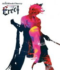 Acid Black Cherry／Acid Black Cherry 5th Anniversary Live ”Erect” [Blu-ray]