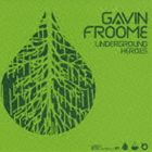 ギャヴィン・フルーム / UNDERGROUND HEROES [CD]