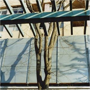 フルカワヒデオプラス ミュージックムボウノキセツ詳しい納期他、ご注文時はお支払・送料・返品のページをご確認ください発売日2009/1/7フルカワヒデオプラス / MUSIC：無謀の季節ミュージックムボウノキセツ ジャンル 学芸・童謡・純邦楽ドキュメント/脱音楽 関連キーワード フルカワヒデオプラスアート ユニオン、U-POP RECORDS／HEADZ／HEADZ、GRAMoPHONE※こちらの商品はインディーズ盤のため、在庫確認にお時間を頂く場合がございます。 種別 CD JAN 4941135331279 組枚数 1 製作年 2008 販売元 インディーズメーカー登録日2008/11/24