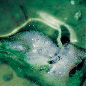 アープ トリスタン ア プール ア ポータル詳しい納期他、ご注文時はお支払・送料・返品のページをご確認ください発売日2024/11/15Tristan Arp / a pool， a portalア プール ア ポータル ジャンル 洋楽クラブ/テクノ 関連キーワード Tristan Arp同時発売アナログはWSDMLP-8J※こちらの商品はインディーズ盤のため、在庫確認にお時間を頂く場合がございます。 種別 CD JAN 4582561402302 組枚数 1 製作年 2024 販売元 ブリッジ登録日2024/11/08