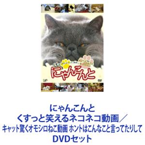 にゃんこんと くすっと笑えるネコネコ動画／キャット驚くオモシロねこ動画 ホントはこんなこと言ってたりして [DVDセ…