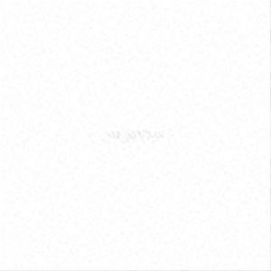 THE PINBALLS / ZERO TAKES（CD＋DVD） 