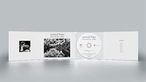 輸入盤 JEAN-MICHEL JARRE / AMAZONIA CD