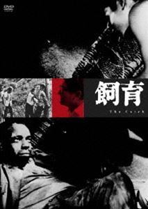 飼育 [DVD]