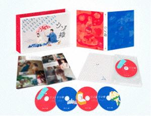 ウソ婚 DVD-BOX [DVD]