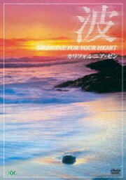 波 〜Medicine For Your Heart〜 California Zen カリフォルニア・ゼン [DVD]