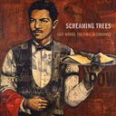輸入盤 SCREAMING TREES / LAST WORDS ： THE FINAL RECORDINGS CD