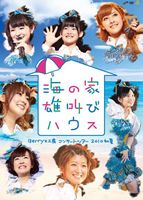 Berryz工房 コンサートツアー 2010初夏〜海の家 雄叫びハウス〜 [DVD]