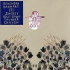 輸入盤 DEVENDRA BANHART / SMOKEY ROLLS DOWN THUNDER CANYON [CD]
