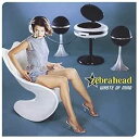 輸入盤 ZEBRAHEAD / WASTE OF MIND CD