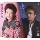 山口眞 / 逢いたい… [CD]