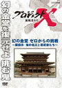 プロジェクトX 挑戦者たち 幻の金堂 ゼロからの挑戦 〜薬師寺・鬼の名工と若武者たち〜 [DVD]