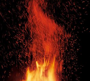 ラビット / トーチ [CD]