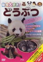 詳しい納期他、ご注文時はお支払・送料・返品のページをご確認ください発売日2007/2/21動物大好き! どうぶつスペシャル100 ジャンル 趣味・教養動物 監督 出演 ｢動物大好き｣シリーズのスペシャル版第1弾。小さな子供にもわかるナレーション付きの映像で、アフリカゾウ、アミメキリン、カバ、ゴリラ、レッサーパンダなど、人気の動物を100種類紹介する。 種別 DVD JAN 4937629019372 収録時間 67分 画面サイズ スタンダード カラー カラー 組枚数 1 製作年 2007 製作国 日本 音声 日本語（ステレオ） 販売元 ピーエスジー登録日2006/12/29