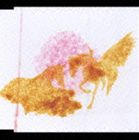 ������ / theory [CD]