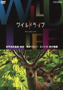 ワイルドライフ 世界自然遺産 知床 角がつなぐ!エゾシカ 命の物語 [DVD]