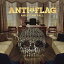 ͢ ANTI-FLAG / AMERICAN FALL [LP]