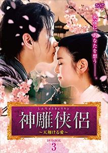 神雕侠侶〜天翔ける愛〜 DVD-BOX3 [DVD]