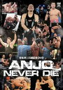 安生洋二引退記念作品 ANJO NEVER DIE! [DVD]