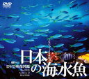 日本の海水魚／DVD映像図鑑 [DVD]