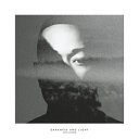 輸入盤 JOHN LEGEND / DARKNESS AND LIGHT 2LP