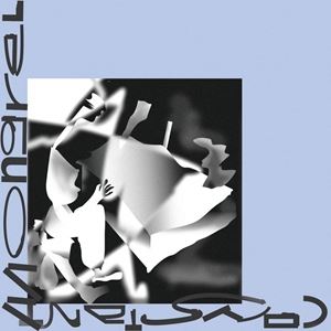 輸入盤 CONSTANT MONGREL / EXPERTS IN SKIN 