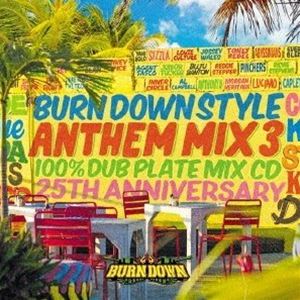 BURN DOWN / BURN DOWN STYLE ANTHEM MIX 3 100�� DUB PLATE MIX CD [CD]