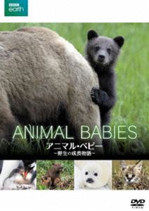 ビービーシーアースアニマルベビーヤセイノセイチョウモノガタリ詳しい納期他、ご注文時はお支払・送料・返品のページをご確認ください発売日2019/2/28関連キーワード：ドキュメントBBC earth アニマル・ベビー 〜野生の成長物語〜ビービーシーアースアニマルベビーヤセイノセイチョウモノガタリ ジャンル 趣味・教養ドキュメンタリー 監督 出演 生まれた直後の動物の赤ちゃんたちの愛らしさに思わず頬が緩んでしまう場面や、それぞれの動物たちがひとり立ちするまでに乗り越えなければいけないさまざまな困難など、野生で生まれたすべての命が生き残れるわけではないというシビアな一面も切り取る。「サファリの赤ちゃん」「水に生きる赤ちゃん」「山で生きる赤ちゃん」の3部から成るネイチャー・ドキュメンタリー。関連商品BBCネイチャードキュメンタリー 種別 DVD JAN 4589921409421 収録時間 152分 画面サイズ ビスタ カラー カラー 組枚数 1 製作年 2016 製作国 イギリス 音声 日本語DD（ステレオ） 販売元 ギャガ登録日2018/12/15
