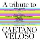 A VARIOUS / TRIBUTE TO CAETANO VELOSO [CD]