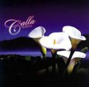 Calla / In Bloom [CD]