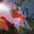 クリス・ココ / FREEDOM STREET ＆ REMIXES [CD]