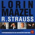 RICHARD STRAUSS： ORCHESTRAL WORKS詳しい納期他、ご注文時はお支払・送料・返品のページをご確認ください発売日2003/3/26ロリン・マゼール / R.シュトラウス名演集RICHARD STRAUSS： ORCHESTRAL WORKS ジャンル クラシック管弦楽曲 関連キーワード ロリン・マゼールバイエルン放送交響楽団ロリン・マゼール指揮、バイエルン放送交響楽団による1996年録音盤。　（C）RS収録曲目11.交響詩 「ティル・オイレンシュピーゲルの愉快ないたずら」 Op.28(15:56)2.交響詩 「ドン・ファン」 Op.20(17:41)3.交響詩 「死と変容」 Op.24(24:20)21.「ばらの騎士」 組曲(24:18)2.交響詩 「英雄の生涯」 Op.40 英雄(4:28)3.交響詩 「英雄の生涯」 Op.40 英雄の敵(3:58)4.交響詩 「英雄の生涯」 Op.40 英雄の伴侶(14:27)5.交響詩 「英雄の生涯」 Op.40 英雄の戦い(7:49)6.交響詩 「英雄の生涯」 Op.40 英雄の業績(4:42)7.交響詩 「英雄の生涯」 Op.40 英雄の引退と完成(10:45) 種別 CD JAN 4988017614457 収録時間 128分24秒 組枚数 2 製作年 2003 販売元 ソニー・ミュージックソリューションズ登録日2006/10/20