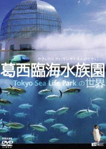 詳しい納期他、ご注文時はお支払・送料・返品のページをご確認ください発売日2014/11/20葛西臨海水族園の世界／全国流通版 ジャンル 趣味・教養その他 監督 出演 東京を代表するアクアリウム「葛西臨海水族園」。その魅力がたっぷりつまったDVDが誕生!人気の生き物たちにいつでも会える「映像図鑑」決定版。 種別 DVD JAN 4945977201462 収録時間 56分 カラー カラー 組枚数 1 製作年 2014 製作国 日本 音声 日本語DD（ステレオ） 販売元 シンフォレスト登録日2014/10/27