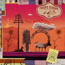 輸入盤 PAUL MCCARTNEY / EGYPT STATION （EXPLORER’S EDITION） 2CD