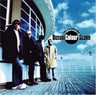 Rock, Pop - 輸入盤 OCEAN COLOUR SCENE / COLLECTION [CD]
