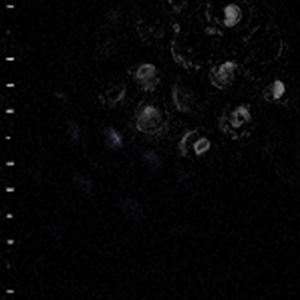 CRUMB / ICE MELT [CD]