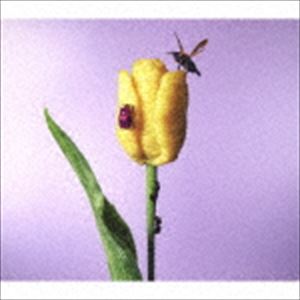 あいみょん/おいしいパスタがあると聞いて(通常盤) CD