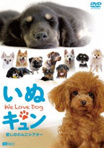 シンフォレストDVD いぬキュン 癒しのわんこシアター We Love Dog [DVD]