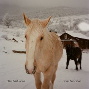 Artist Name: D - 輸入盤 LAST REVEL / GONE FOR GOOD [CD]
