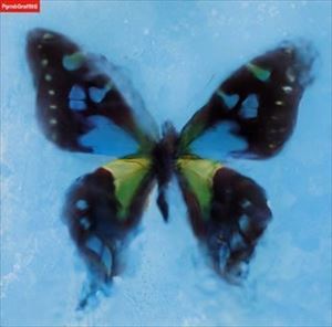 ポルノグラフィティ / アゲハ蝶 [CD]