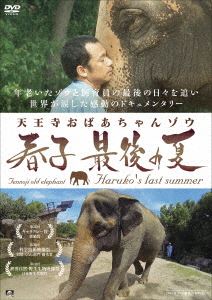 天王寺おばあちゃんゾウ 春子 最後の夏 [DVD]