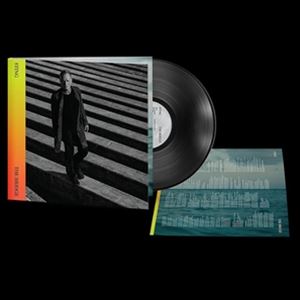 輸入盤 STING / BRIDGE [LP]