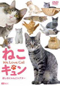 シンフォレストDVD ねこキュン 癒しのにゃんこシアター We Love Cat 