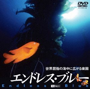 ����ɥ쥹���֥롼���������ؤγ���˹�����ڱ� [DVD]