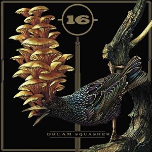 輸入盤 16 / DREAM SQUASHER [CD]