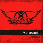輸入盤 AEROSMITH / COLLECTIONS [CD]