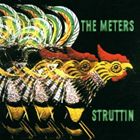 摇滚乐 - 輸入盤 METERS / STRUTTIN ＋ 2 [CD]