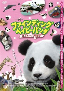ファインディング ベイビー パンダ くしゃみパンダを探せ! [DVD]