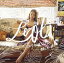 Leola / 勵Mr.Right̾ס [CD]