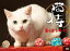 ڥɥޡǭ Ƿ硢ͤعԤ [DVD]